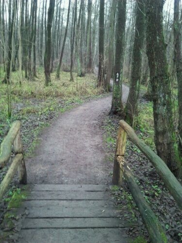 2012-12-19 14.10.29.jpg image