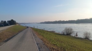 Am Rhein